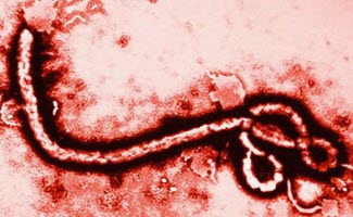 大事件盘点：2018年刚果（金）埃博拉疫情